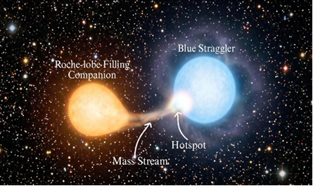 luminous blue straggler star